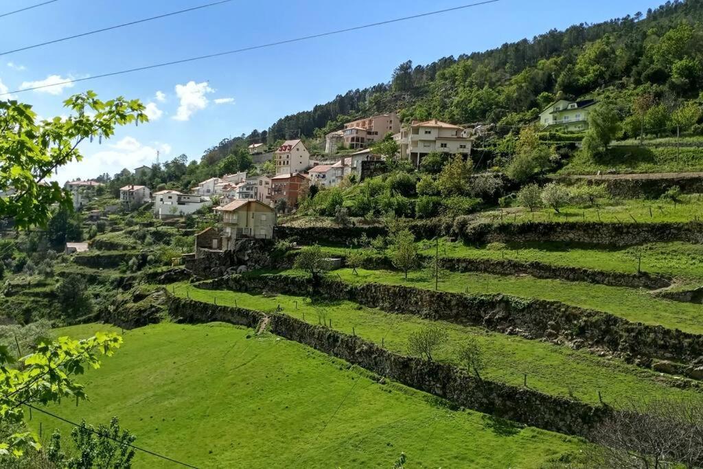 Вілла Casa Do Pelourinho - T1 Лоріґа Екстер'єр фото